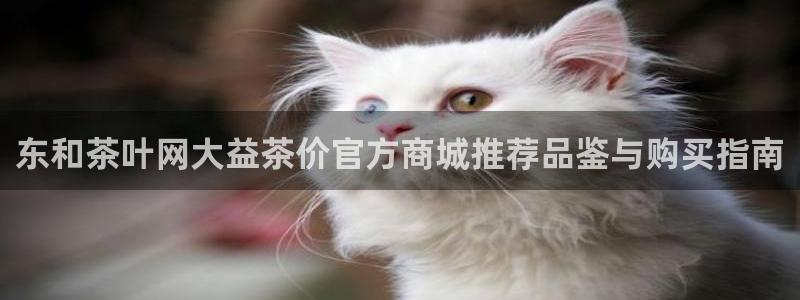 金年会体育官方网站