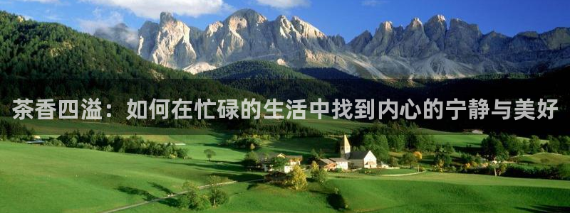 年会金句心得