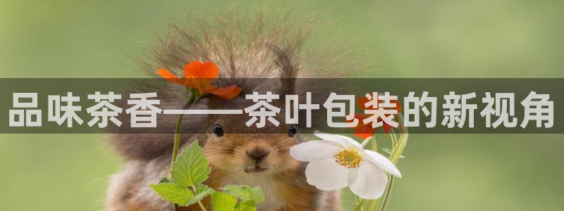 金年会提款