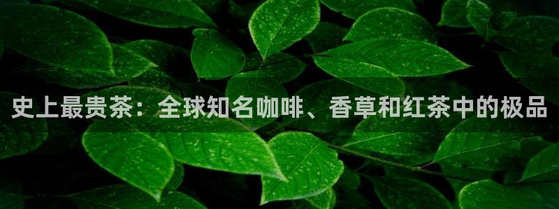 澳门与金年会的关系