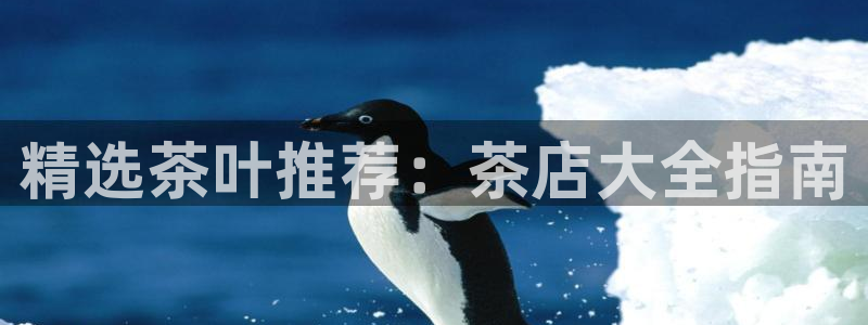 金年会会