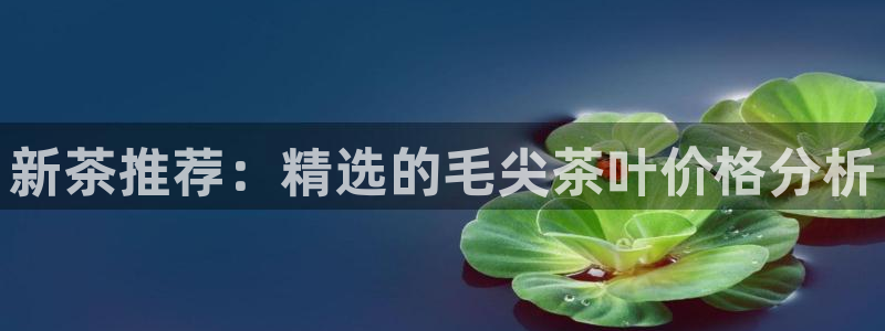 金年会手机app