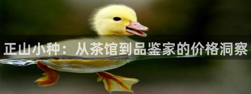 金年会取款
