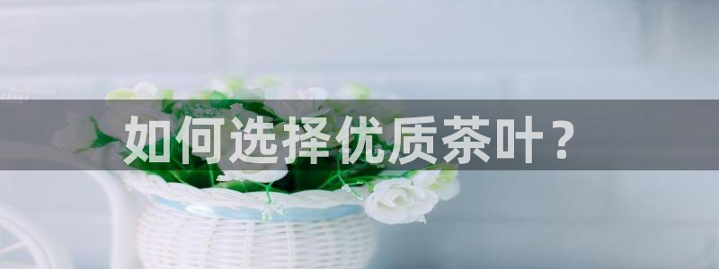 金年会足彩
