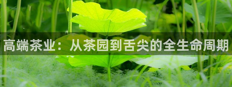 金年会体育平台