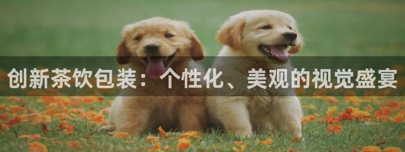 金年会APP下载