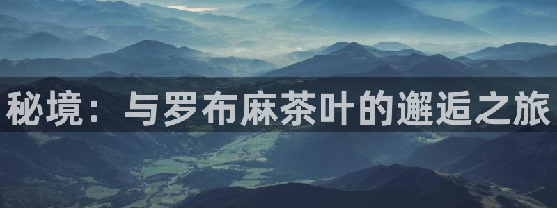 金年会娱乐下载app