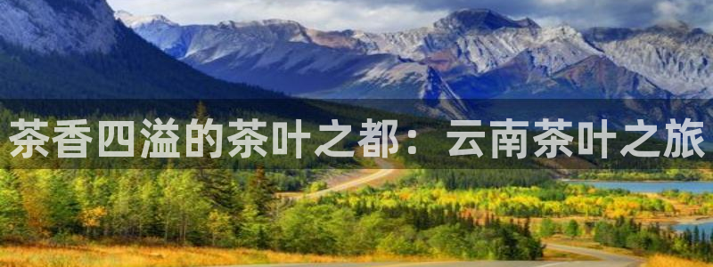 金年会