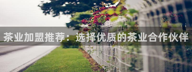 金吉年会
