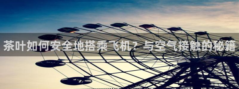金年会电子游戏