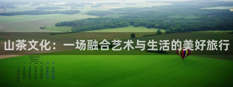 金年会官方客服电话