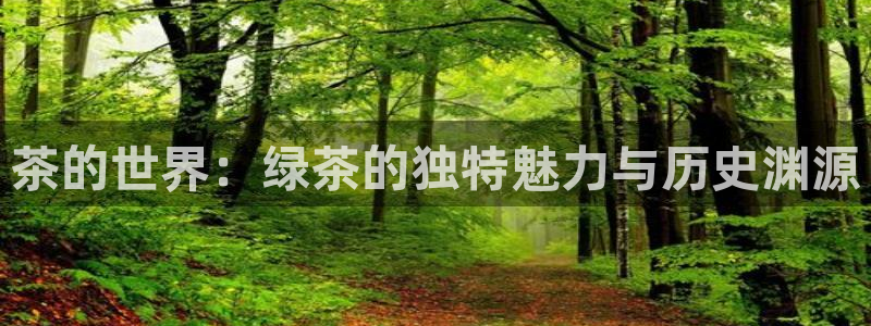 金诺利年会
