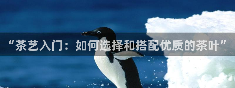 金年会APP安装下载