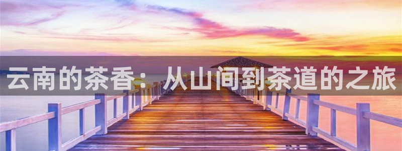 金帆年会2017