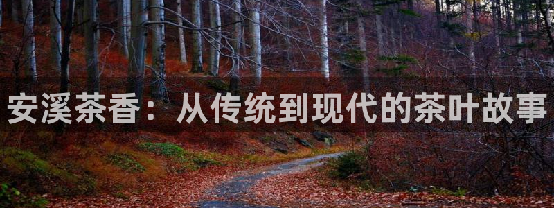 金年会.cc