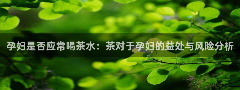 金年会体育官方网站入口