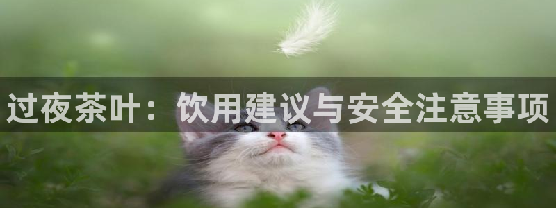金年会18 28