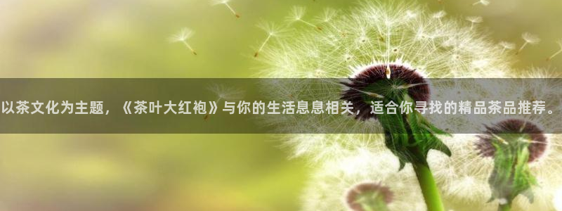 金年会赞助商