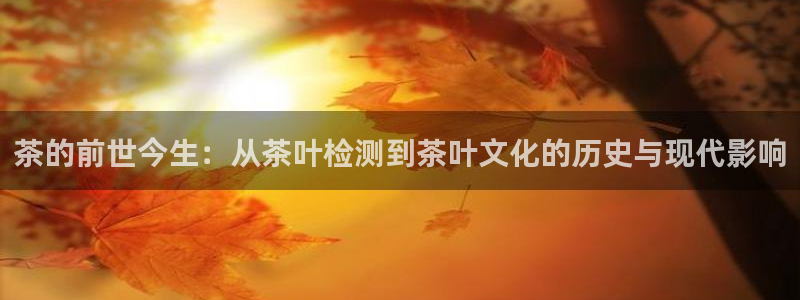 金年会体育和金年会