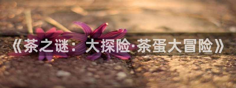 今年会送彩金28