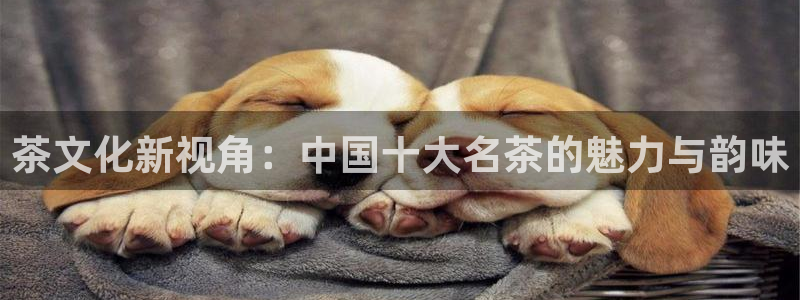 金年会嗨聊app下载