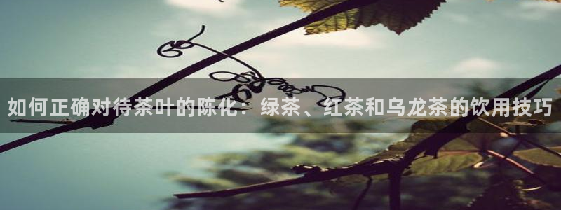 融通金年会