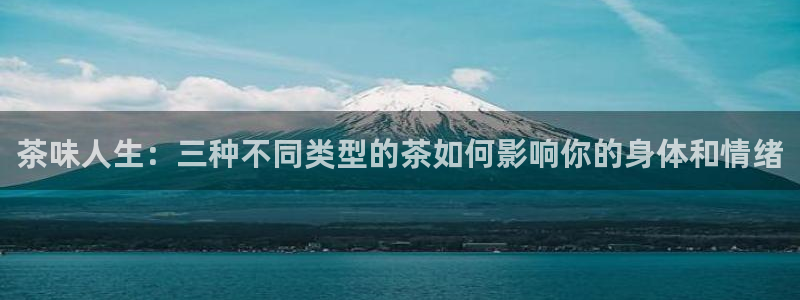 陆金所 年会