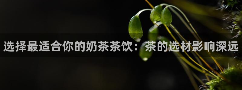 金年会提款慢
