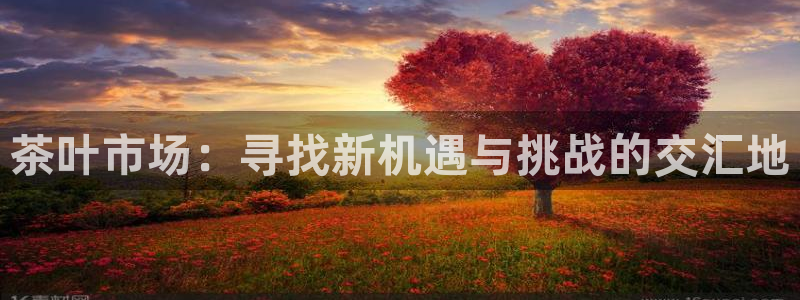 金年会官方入口