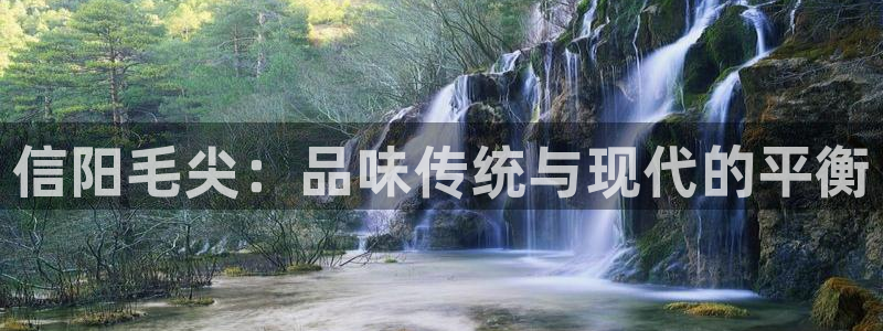 金年会介绍