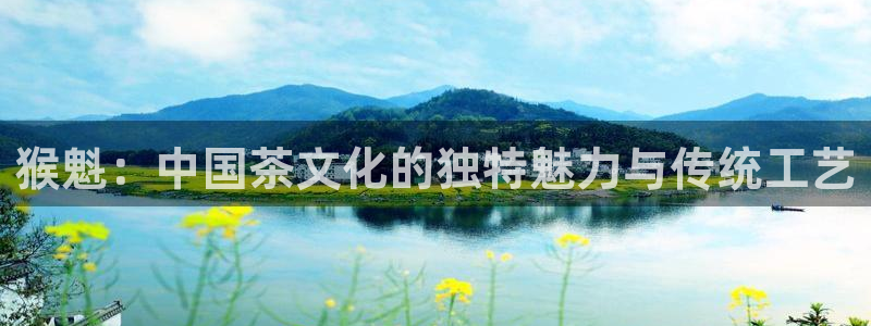 金诺利年会