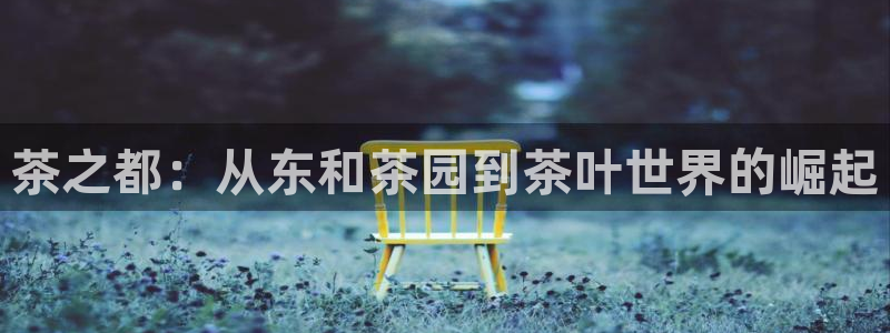 金哥年会