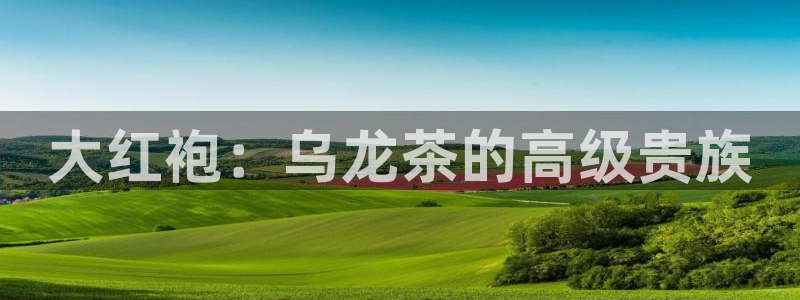 金年会推荐
