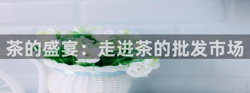 金年会网页登录