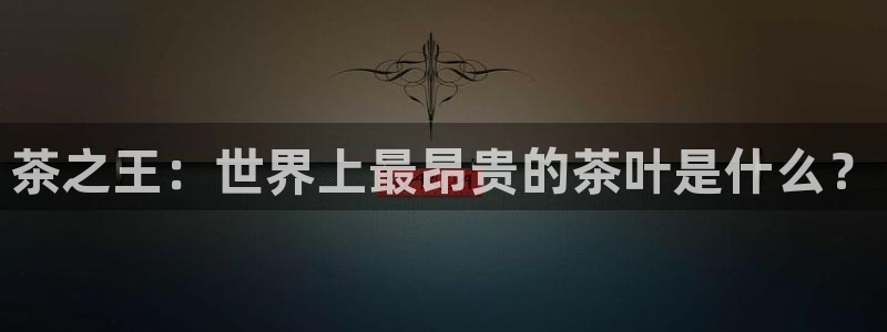 金年会金字招牌