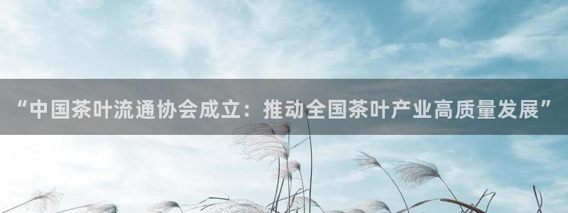 金年会投注官网