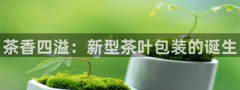 年会金