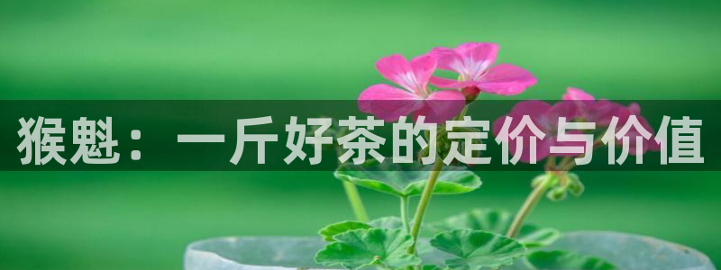 宝金年会