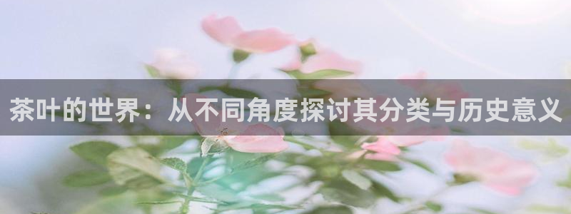 金年会综合APP