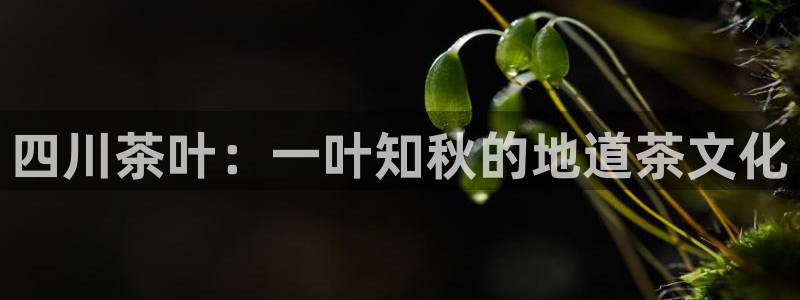 金年会开户