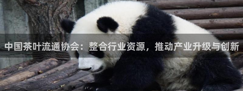 金年会娱乐官网