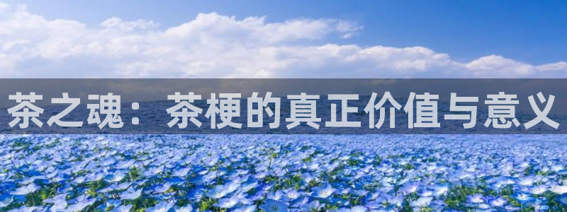 金年会下载官方