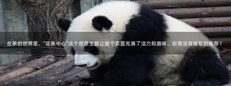 金年会com