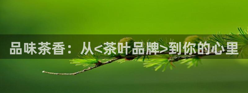 金年会娱乐下载app