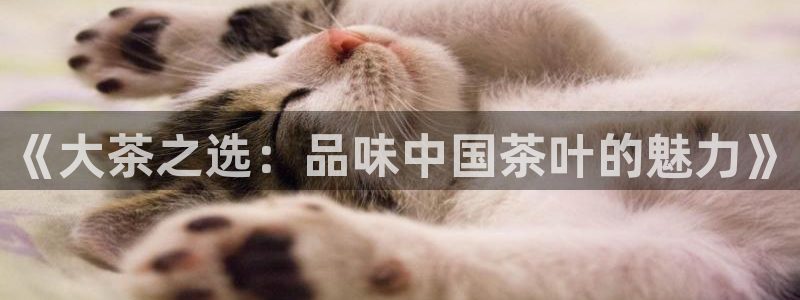 金年会能提款吗