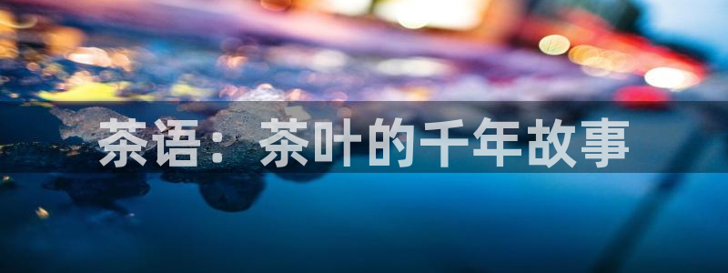 年会金句心得