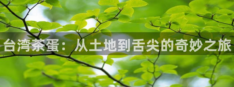 金年会电子
