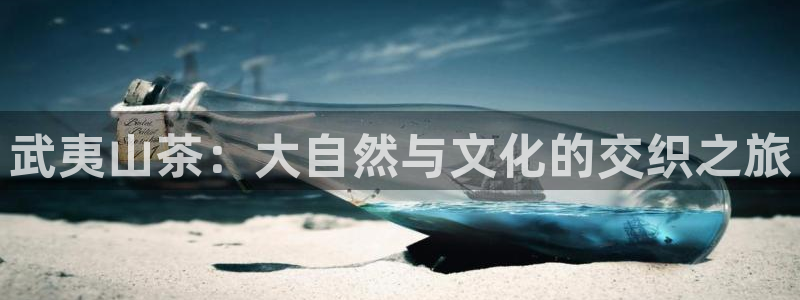 金年会体育官方网站