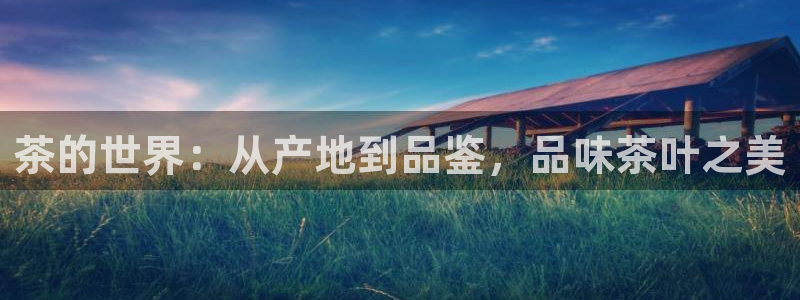 金进年会