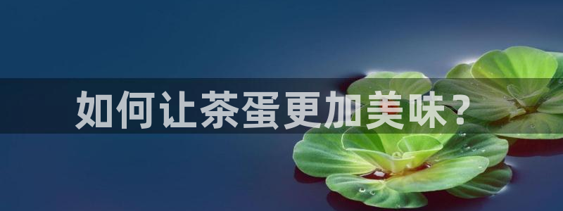 金诚集团年会